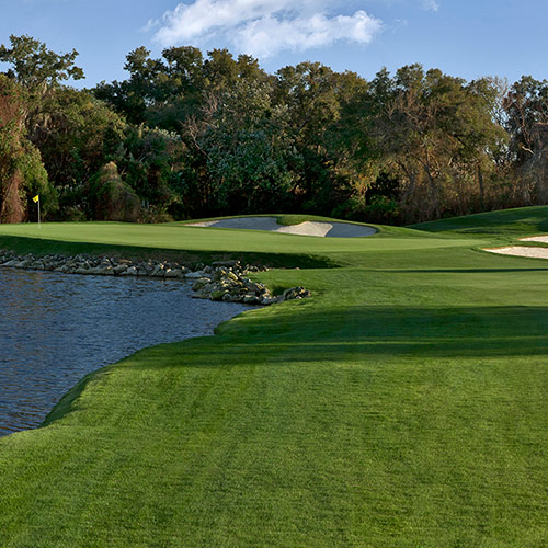 Bay Hill