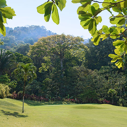 Los Sueños Marriott Ocean & Golf Resort